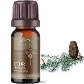 nanga-naturalny-olejek-eteryczny-100percent-cedr-himalajski-10ml-podczas-infekcji