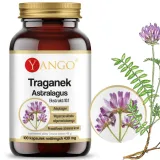 yango-traganek-100-kapsulek