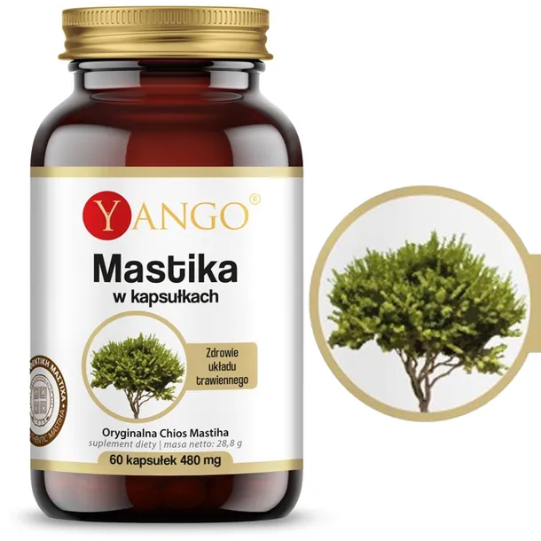 yango-mastika-480mg-60-kapsulek