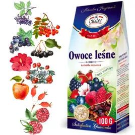 malwa-herbata-owocowa-owoce-lesne-susz-jablko-jarzebina-aronia-glog-100g
