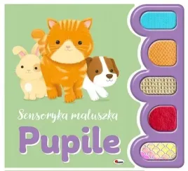 pupile-sensoryka-maluszka
