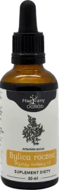 nanga-bylica-roczna-artemisia-wyciag-1-1-50ml-wsparcie-prawidlowy-cukier