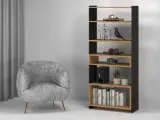 tris-04-regal-stan-nowy