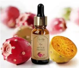 bioolja-olej-z-opuncji-figowej-z-nasion-kaktusa-zimnotloczony-nierafin-10ml