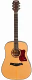 gitara-akustyczna-ars-nova-an-400-matt