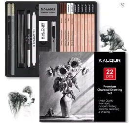 zestaw-22-elementowy-do-rysowania-weglem-kalour