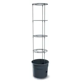 doniczka-do-uprawy-pomidorow-tomato-grower-39cm-28l-prosperplast-ipom400