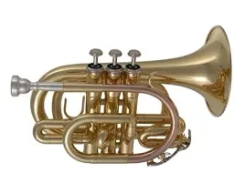 trabka-instrument-eastman-ett-401-zlota-z-walizka-do-przechowywania