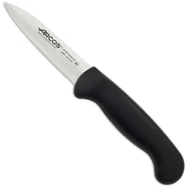 noz-kuchenny-do-obierania-warzyw-owocow-obierak-seria-2900-dl-80-190-mm-ar