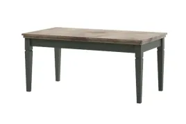 stolik-kawowy-helvetia-prostokatny-110-x-60-x-50cm-odcienie-zieleni-evora