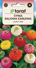 cynia-daliowa-liliput-karlowa-mix-kolorow-05g