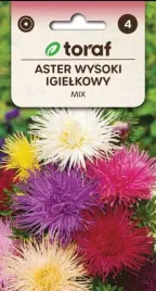 aster-igielkowy-wysoki-w-mieszance-kolorow-1g