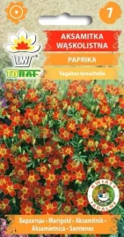 aksamitka-paprika-zolto-czerwone-kwiaty-05g