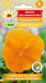 bratek-wielkokwiatowy-pomaranczowy