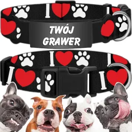 mocna-obroza-regulowana-dla-psa-indetyfikator-kot-pies-grawer-35-55cm-l