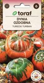 dynia-ozdobna-turecki-turban-ladne-ozdobne