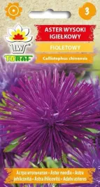 aster-igielkowy-wysoki-fioletowy-1g