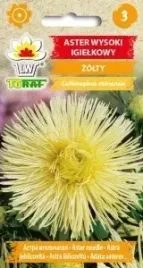 aster-igielkowy-wysoki-zolty-1g