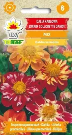 dalia-karlowa-na-balkon-taras-do-ogrodu-ladna