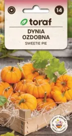 dynia-ozdobna-swettie-pie-miniatura-ogromnej-dyni-2g-toraf