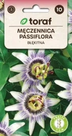 meczennica-passiflora-wyjatkowe-pnacze-02g