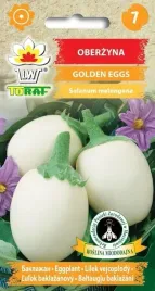 oberzyna-ozdobna-golden-eggs-doniczkowa-02g