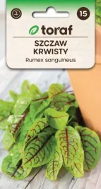szczaw-krwisty-ozdobny-smaczny-i-zdrowy-02g