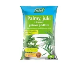 podloze-do-palm-juk-dracen-z-seramisem-4l-westland