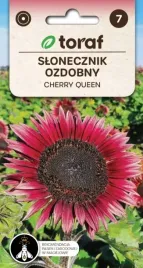 slonecznik-ozdobny-cherry-queen-wyjatkowy-2g