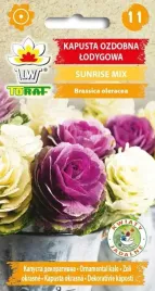 kapusta-ozdobna-lodygowa-sunrise-mix-10szt