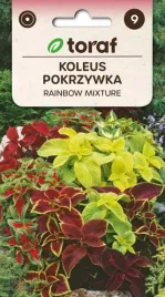 koleus-pokrzywka-rainbow-mixture-dekoracyja-od-wiosny-do-jesieni-02g-toraf