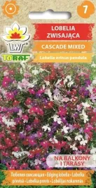 lobelia-zwisajaca-cascade-mix-kwit-do-mrozow-01g