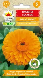 nagietek-indian-prince-jadalne-kwiaty-1g