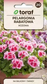 pelargonia-rabatowa-rozowa-f2-005g-toraf