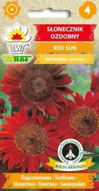 slonecznik-ozdobny-red-sun-ciemno-czerwony-2g