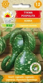 tykwa-pospolita-kobra-wyjatkowo-ciekawe-owoce-6szt