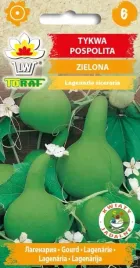 tykwa-pospolita-zielona-na-pergole-ploty-ozdobne-tykwy