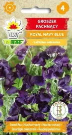 groszek-pachnacy-royal-navy-blue-wyjatkowy-1g-toraf