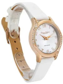 bruno-calvani-bc3500-b