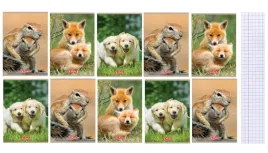zeszyt-a5-32-kartki-w-kratke-z-marginesem-70g-m2-animals-herlitz-10szt