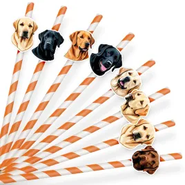 papierowe-slomki-urodzinowe-ozdoba-psy-rasa-labrador-retriever-8-szt
