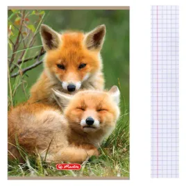 zeszyt-a5-32-kartki-w-kratke-z-marginesem-70g-m2-animals-zwierzeta-herlitz