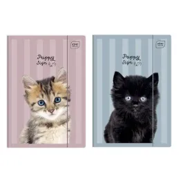 intert-teczka-z-gumka-a4-puppy-sign-2-szt-kociaki