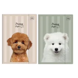 intert-teczka-z-gumka-a4-puppy-sign-2-szt-psiaki