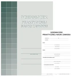 michalczyk-dziennik-praktycznej-nauki-zawodu-a5-a-102-3