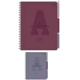 inter-druk-kolozeszyt-a4-100-kratka-z-registrami-academy-90-g-papier
