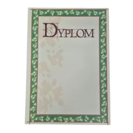 warta-papier-na-dyplomy-dyplomy-a4-250g-1szt