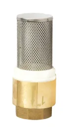 zawor-zwrotny-z-koszem-ssacym-1-dn25