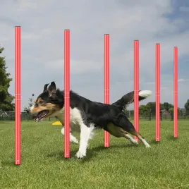 pacholki-treningowe-1-szt