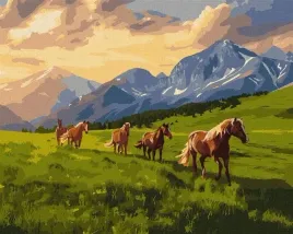 malowanie-po-numerach-wolny-duchem-40x50cm
